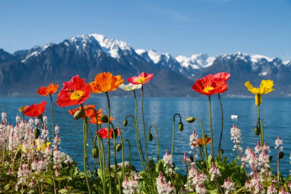 2024 Lake Geneva & The Golden Pass